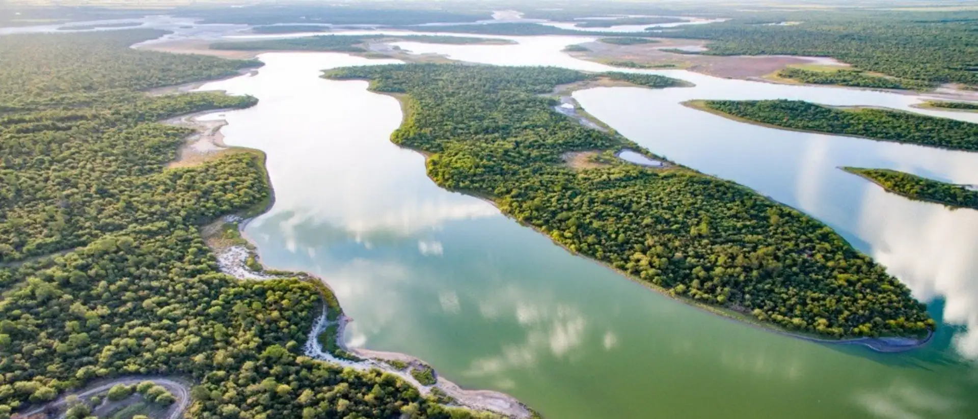 Aerial view of winding rivers and dense wetland forest in the Paraguayan Chaco